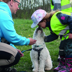 sajt_250x250_terapihund_Kompis sajt_250x250_terapihund_Kompis